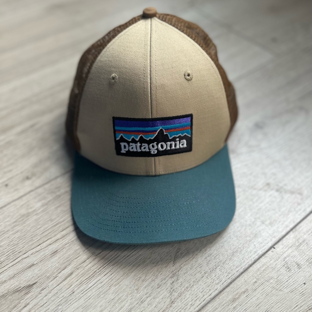 patagonia hat
